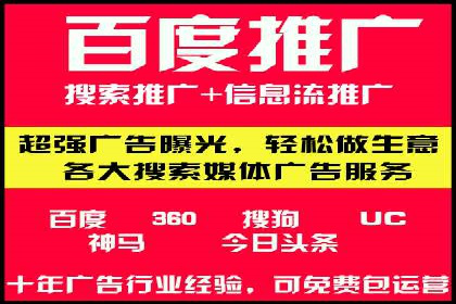 百度推广策略揭秘：某行业领头羊的成功经验